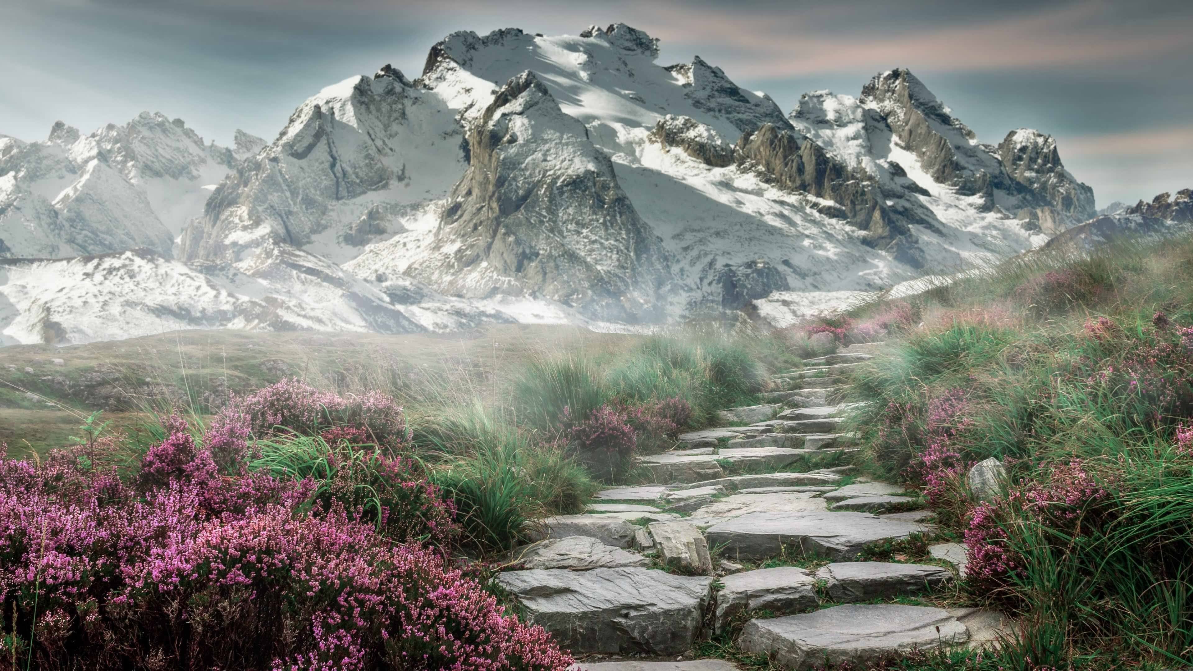 v7.2.5 优化版发布，2026年5月2日，一次精准进化的里程碑