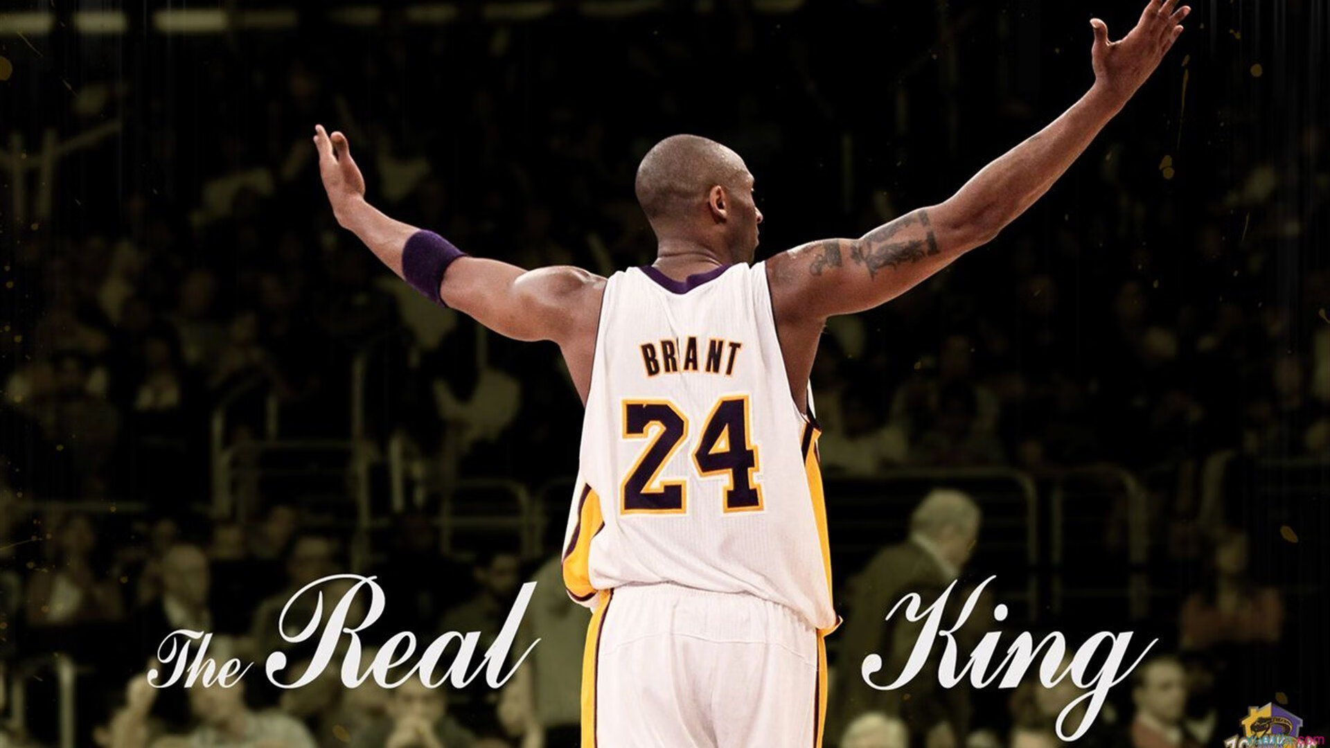 女王归来！穆古鲁扎逆转首秀引爆DWG，久违的怒吼响彻赛场，穆古鲁扎女王归来！逆转首秀引爆DWG，久违怒吼响彻全场